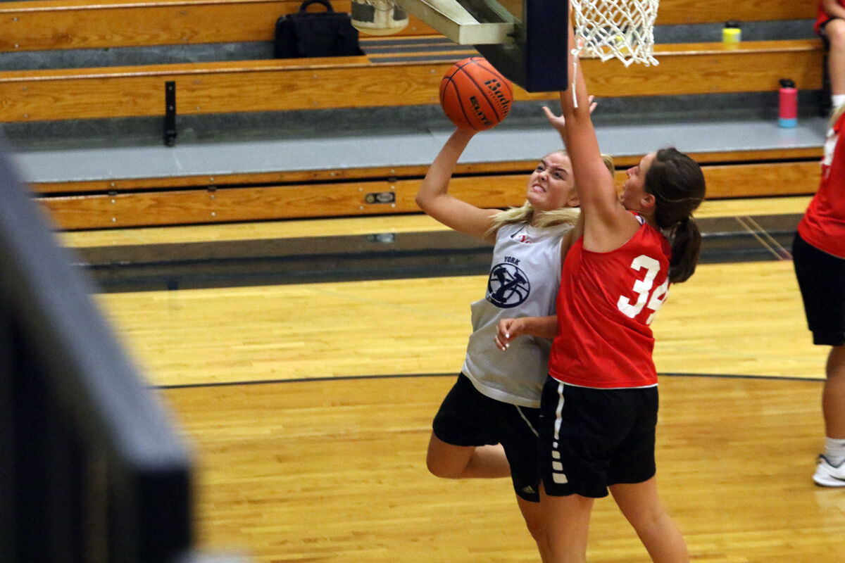 York Girls Basketball Camp (13).jpg